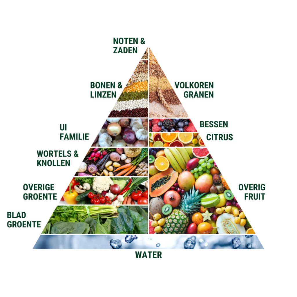 vegan voedingspiramide volledige uitleg